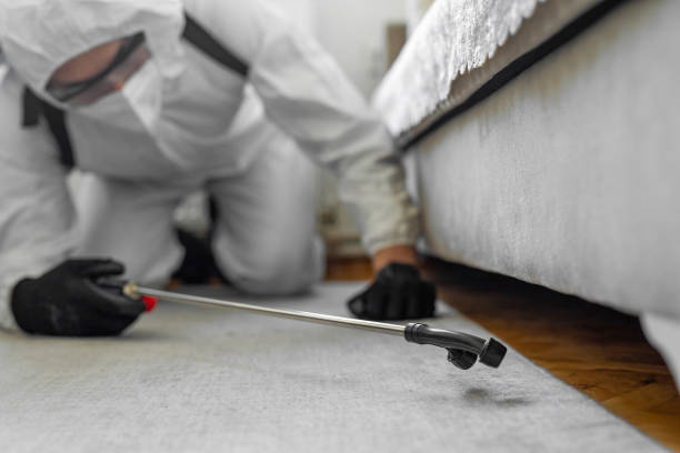 Professional Termite Control technician working in Magna, UT