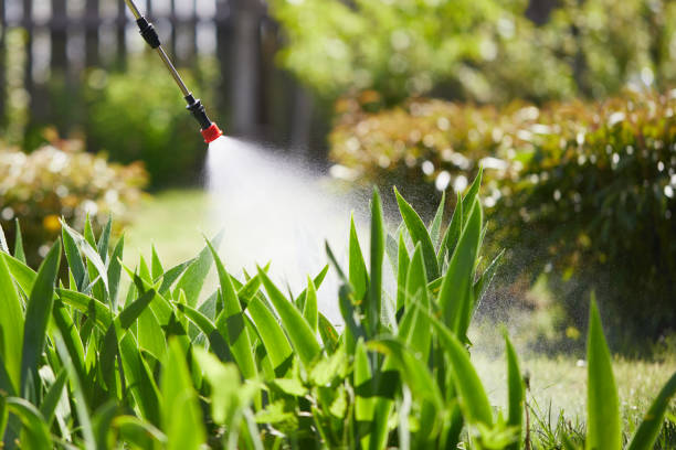 24/7 Emergency Termite Control experts in Magna, UT